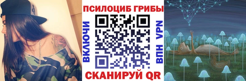 закладка  Багратионовск  Псилоцибиновые грибы Psilocybine cubensis 